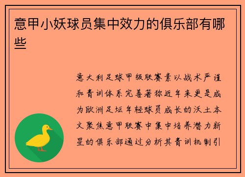 意甲小妖球员集中效力的俱乐部有哪些